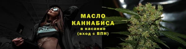 крисы Зеленодольск