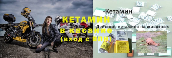 крисы Зеленодольск