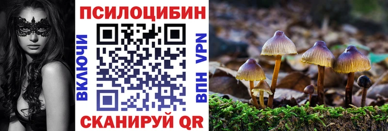 Купить где  Емва  Галлюциногенные грибы Magic Shrooms 
