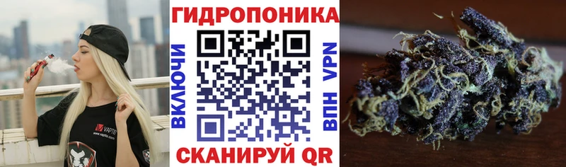 Купить закладки  Емва  Марихуана AK-47 